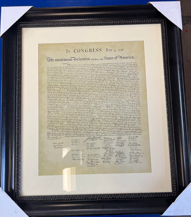 Declaration of Independence *Clearance*
