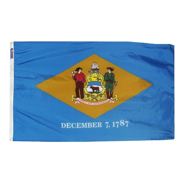 Delaware Outdoor Nylon Flag (Low-Medium Wind Areas)