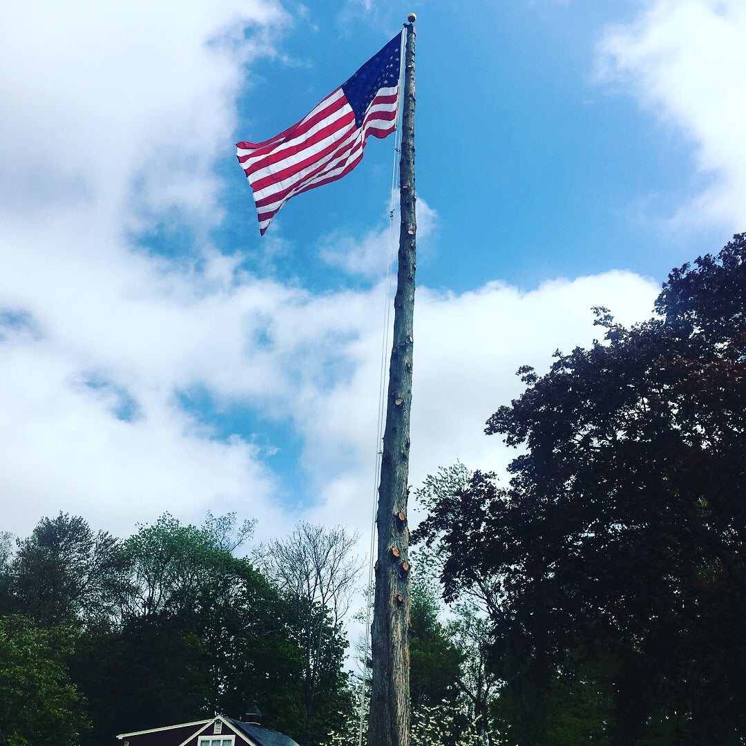 Flagpole Conversions