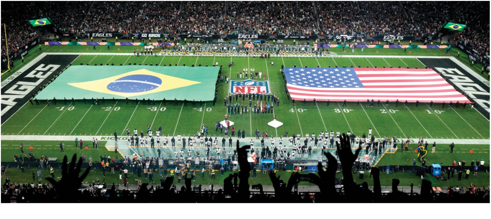 UnityLift™ American Field Flag with Handles – Nylon | Made in USA