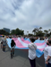 Transgender flag with handles