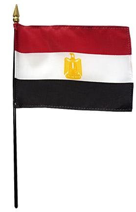 Mini Ecuadar (Gov't) Flag