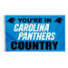 carolina panthers outdoor flag for sale - officially licensed - flagman of america