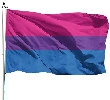Bisexual Outdoor Sewn Flag