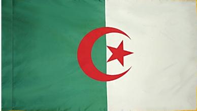 Algeria Indoor Flag for sale