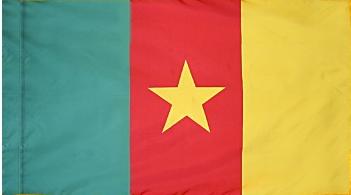 Cameroon Indoor Flag for sale