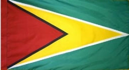 Guyana Indoor Flag for sale