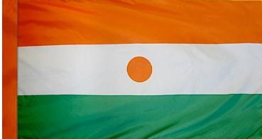 Niger Indoor Flag