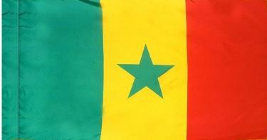Senegal Indoor Flag for sale