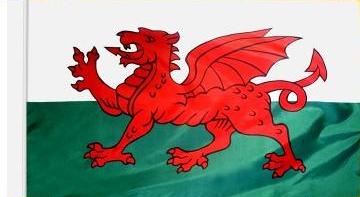 Wales Indoor Flag for sale