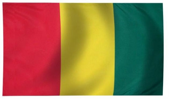 Guinea Indoor Flag for sale