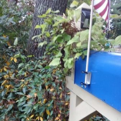 Mailbox / Headstone Flag Holder